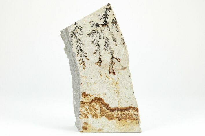 Dendrites On Limestone - Utah #207809